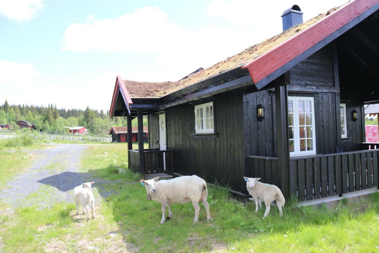 Vila Gamlestolen Fjellstue Etnedal Exteriér fotografie